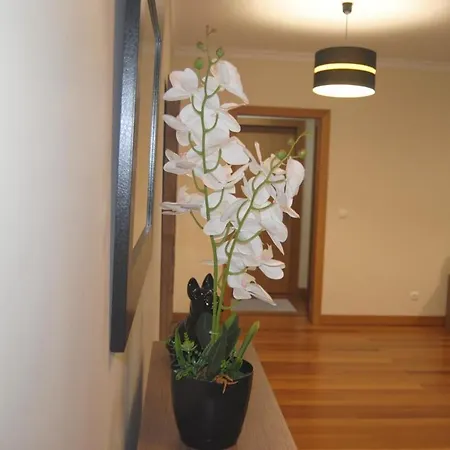 Aurora Park Com Piscina Funchal (Madeira)