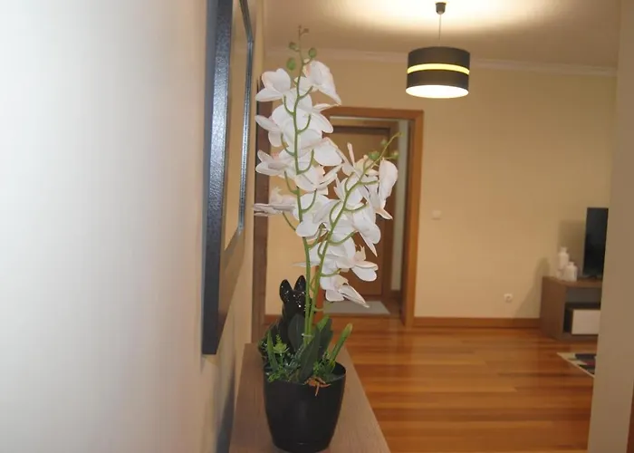 Aurora Park Com Piscina Funchal (Madeira)